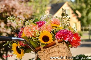 2342S-Dahlias and Sunflowers Bouquet