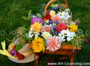 2399S-Dahlias Bouquet and Straw Hat