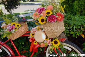2405S-Dahlias and Sunflowers on Red Bicycle