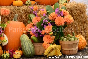 2528-Dahlia Bouquet and Pumpkins