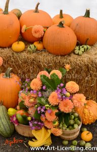2546S-Dahlias Bouquet and Pumpkins
