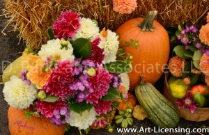 2558S-Dahlias Bouquet and Pumpkins