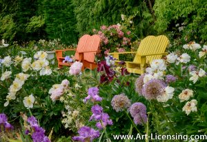 7150-Peonies, Allium, Iris, Orange and Yellow Bench in the Garden