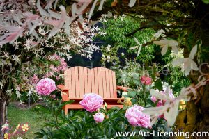 7308-Peonies and Orange Bench in the Garden