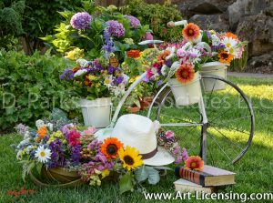 8595S-Summer Flowers on White Bicycle Stand