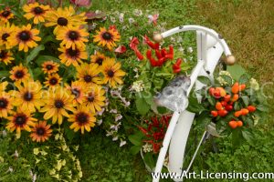 9578-Red Peppers and Rudbeckias