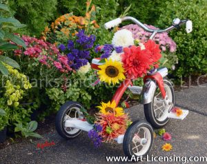 9681S-Mums, Dahlias and Sunflowers on Tricycle